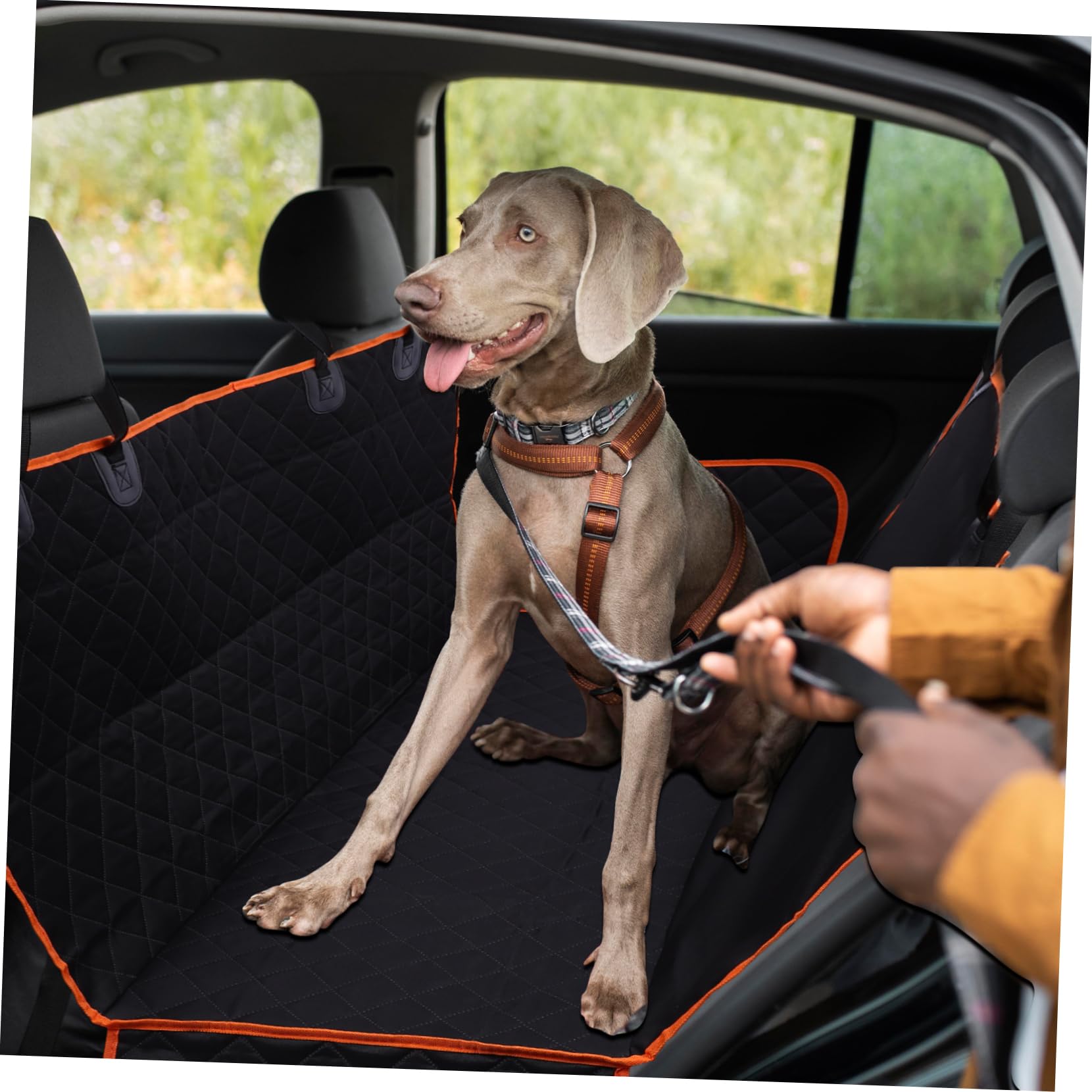 Haustiermatte für Autositz Rückbank aus Schwarzem Stoff mit Stylischem Rautenmuster Robust für Große Hunde und Täglichen Gebrauch Geeignet