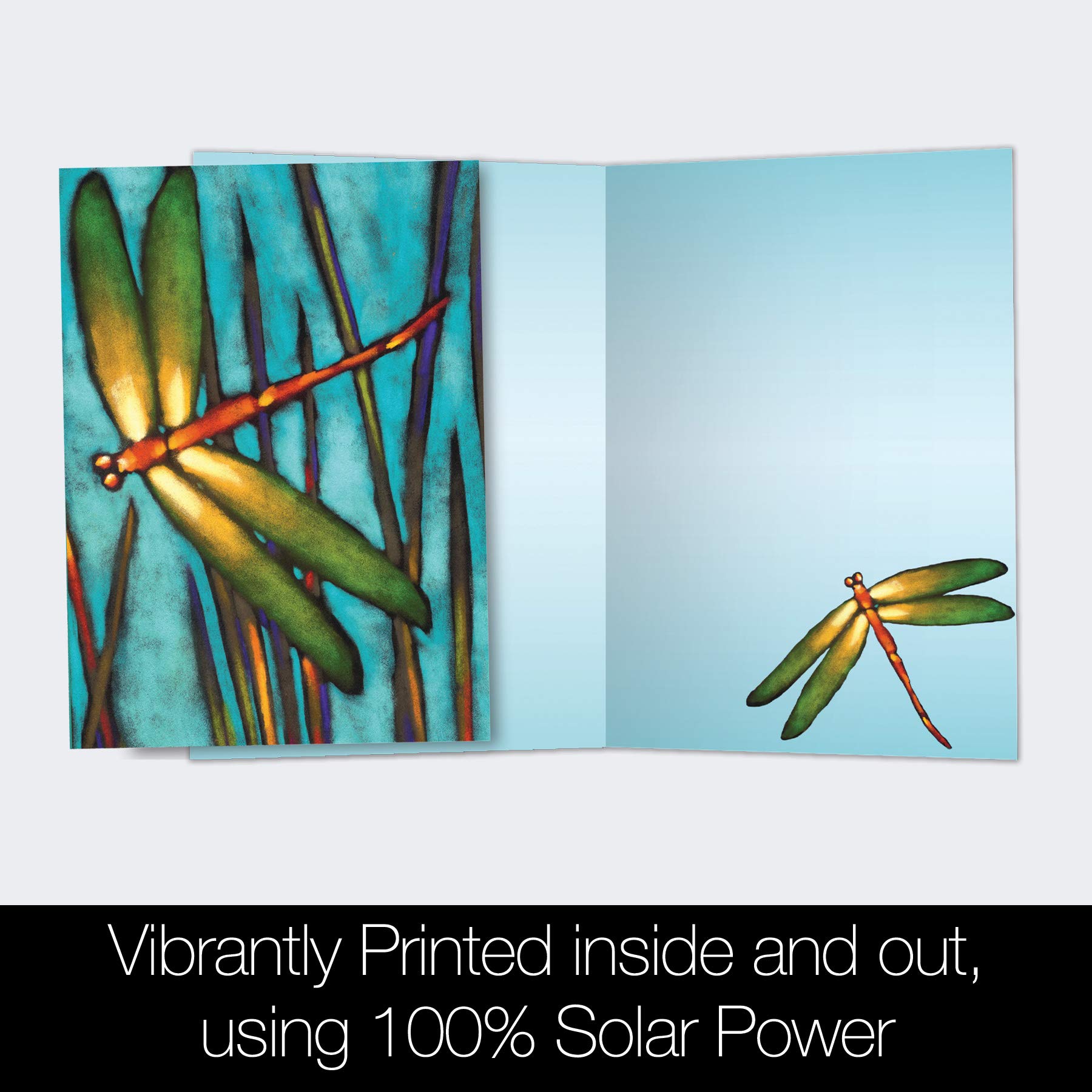 Tree-Free Greetings EcoNotes Lot De 12 Cartes De Vœux Pour