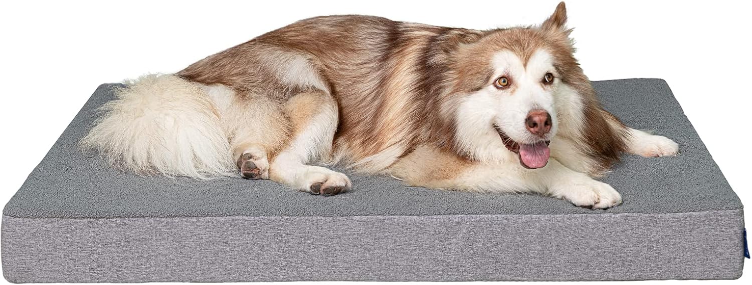 KULME Large Dog Bed for Large Dog, Cat Bed, Washable & Waterproof Cover, Anti Slip, Gel Memory Foam Dog Bed Mat, Dog Sofas & Chairs, Pet Beds, Grey, 3" Large Size : Pet Supplies
