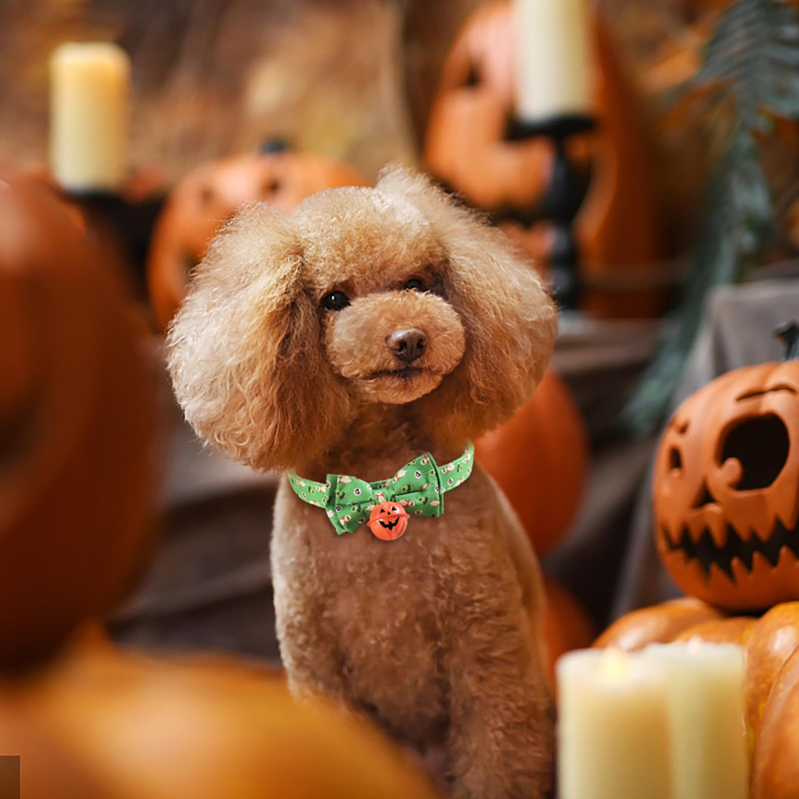 Amazon | ハロウィンの首輪 | かぼちゃの蝶ネクタイペットの首輪,写真