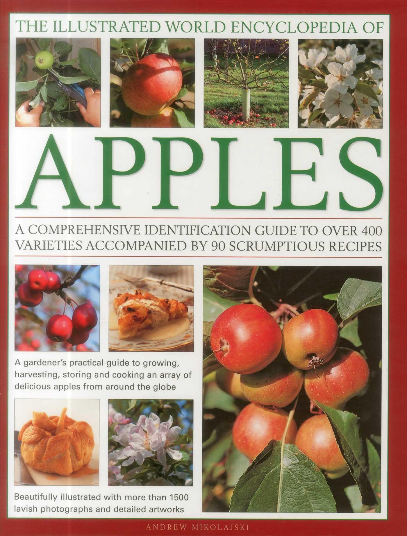 The Illustrated World Encyclopedia of Apples: A Comprehensive Identification Guide to Over 400 Varieties Accompanied by 60 Scrumptious Recipes