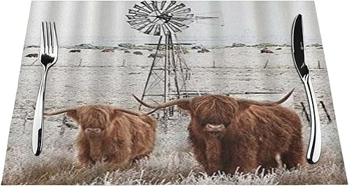 Juego de 6 manteles individuales Bull Longhorns Highland Cow Farmhouse Animal Valla de madera Molino de viento Texas Cattle Western Country Farm
