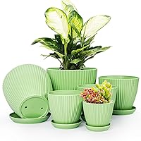 Vodotion 6 Pack Light Green Indoor Plant Pots with Saucers & Drainage Holes - 7.5 to 3.5 Inch Sizes for All Plants