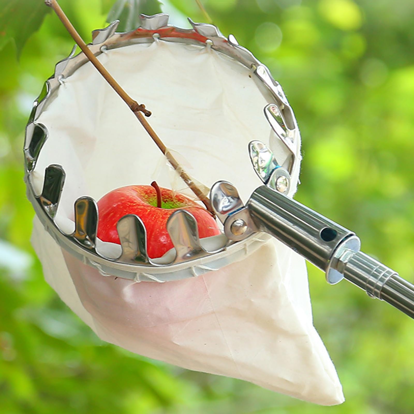 Obstpflücker mit Teleskopstiel und Beutel Apfelpflücker Diameter 15 cm Obstsammler aus Edelstahl Kirschenpflücker Pflaumenpflücker for Reaching Inaccessible Places Obstgreifer Einfach zu Montieren