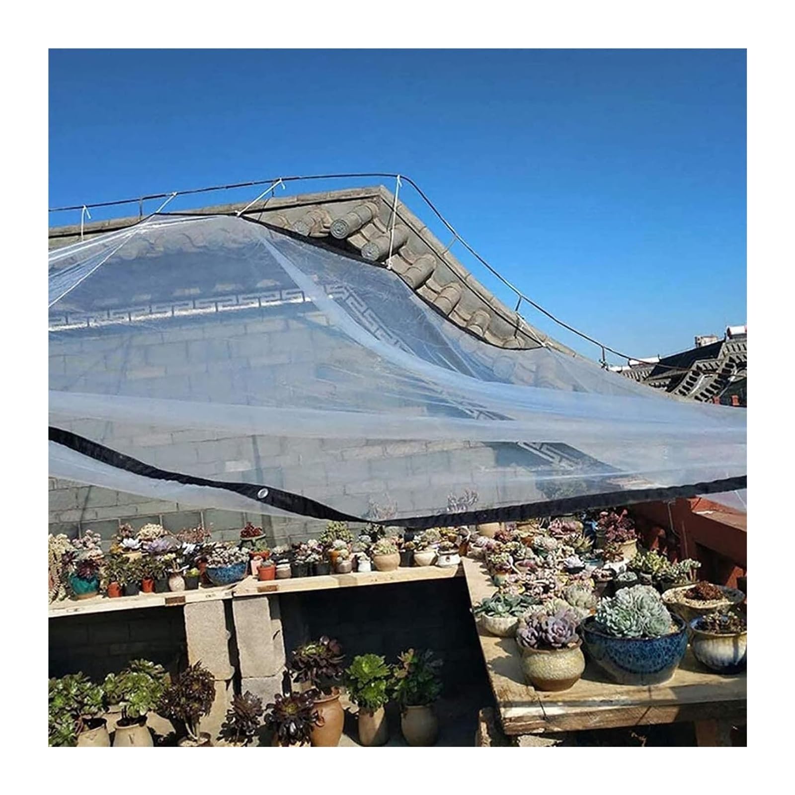 Estufa de tetera con silbido 1,5 l for inducción gas