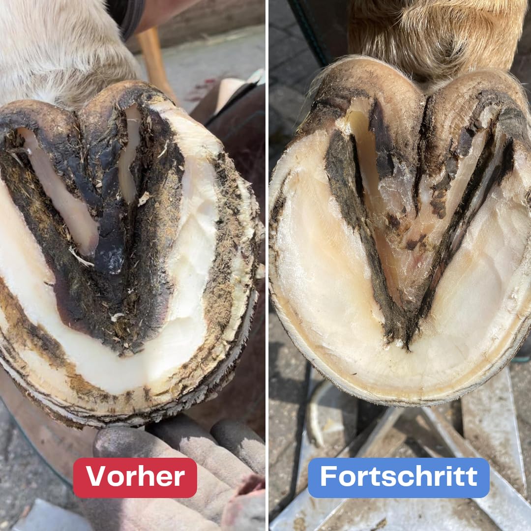 Hufpflege 500 g – zur Pflege bei Strahlfäule – für Hufstrahl, die Hufsohle & weiße Linie – unterstützend bei bakteriell belasteten Hufbereichen