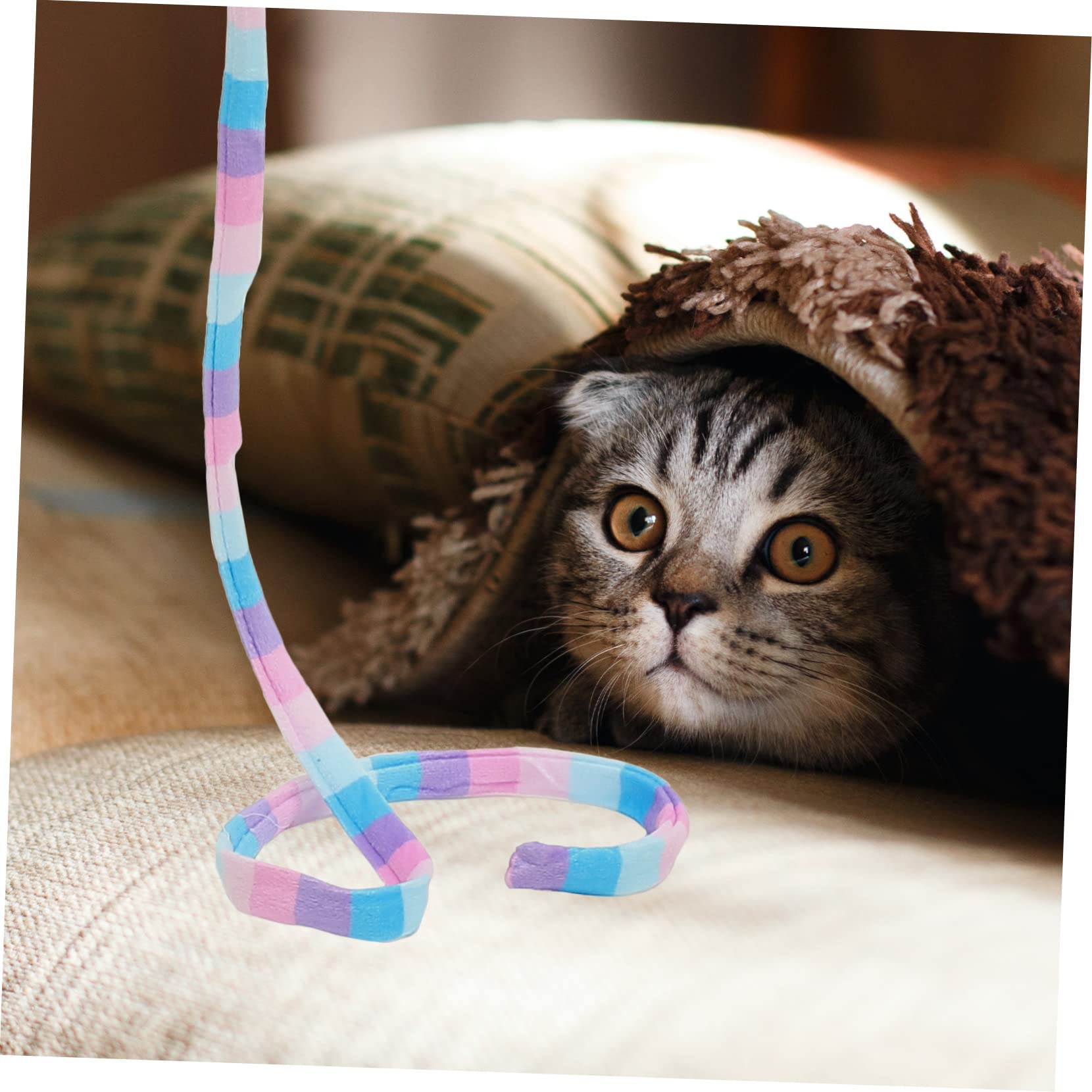 Happyyami 5 Ensembles Chat taquin Chat Teaser de Chat Interactive Cat Toy Chat Jouet à Ressort Accessoires de de Chat Jouet pour Chat ver Animaux Printemps annexe