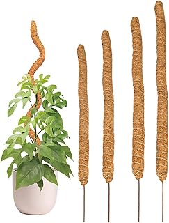 4 fibra coco para plantas em vasos, varas totem fibra coco para plantas monstros, bastões totem fibra coco para plantas monstros, varas musgo coco para trepadeiras suporte extensão, queijo, trepadeiras para plantas interior