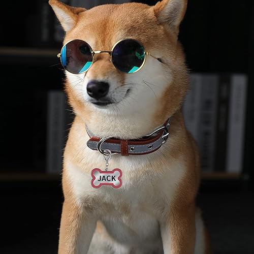 Miniatura 2 de Etiquetas de identificación personalizadas para mascotas, etiquetas de identificación para mascotas pequeñas o grandes, grabadas en ambos lados, con