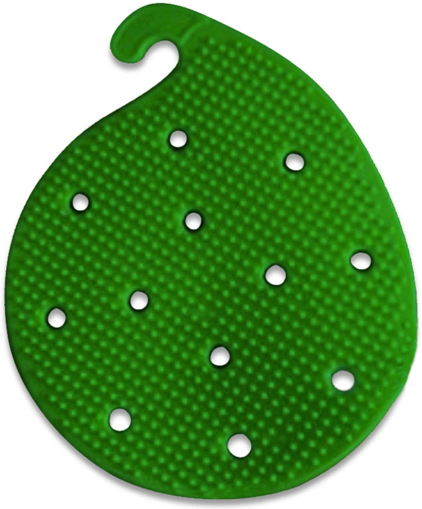 Vegetable Scrubber Brush : Double Sided Fruit and Vegetable Scrubber - Multi Use: Potato Scrubber - Carrot Brush - Trivet - Jar Opener - Coaster -