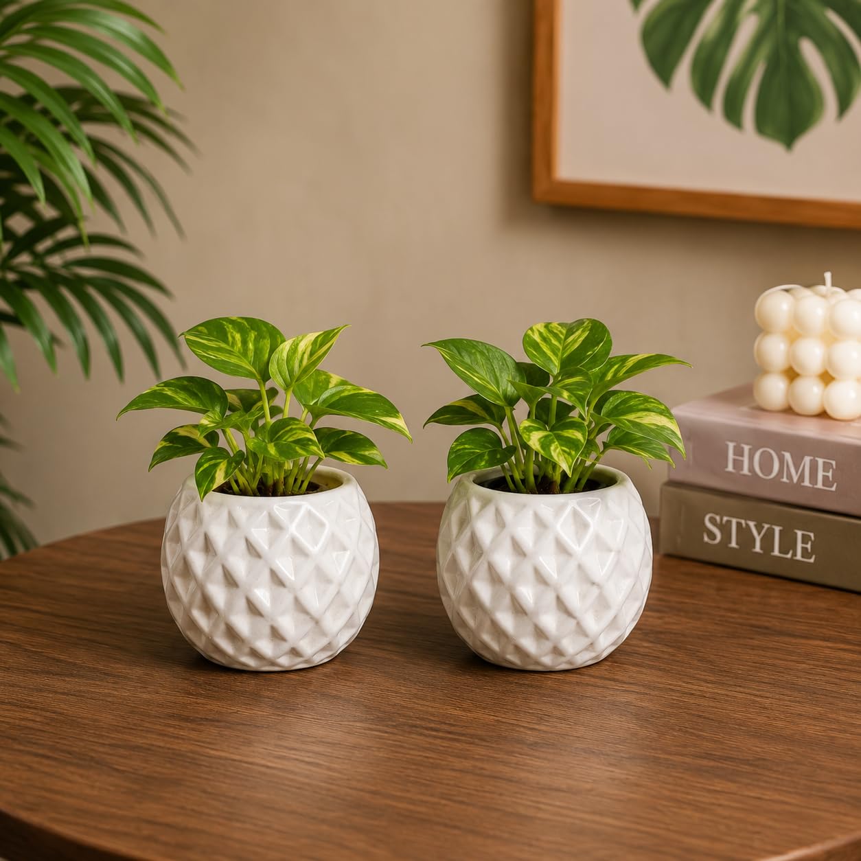 EcoVivaa White Ceramic Planter Set of 2, 8 cm | Diamond Texture Finish, Drainage Hole, For Succulents & Cacti, Handmade, Indoor & Balcony Use-image-27