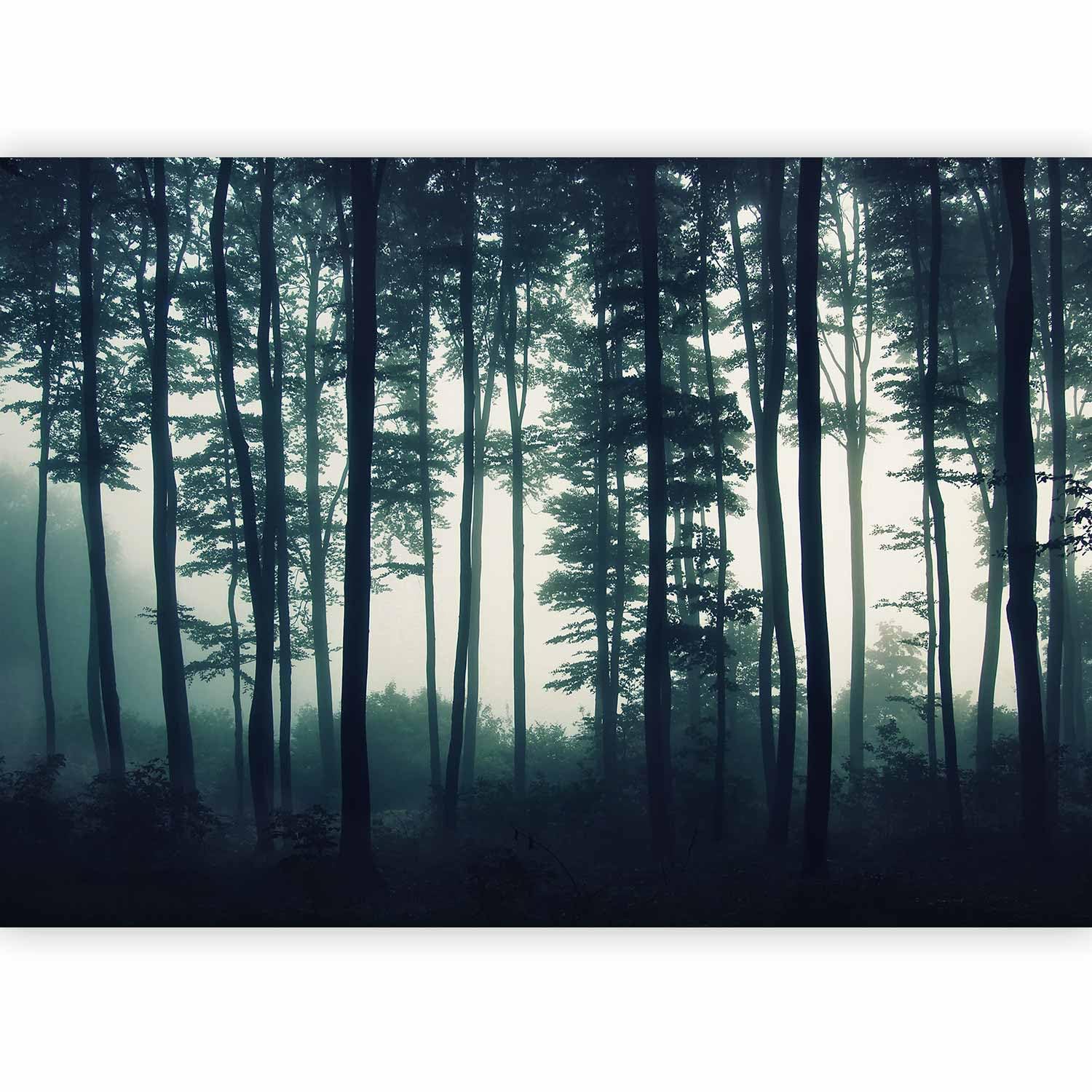 artgeist Wall Mural Forest 173x124 in - Peel and Stick Self-Adhesive Wallpaper Removable Large Sticker Foil Wall Decor Print Design Mural Landscape