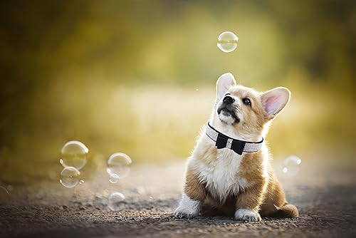 Miniatura 4 de Collar para perros pequeños con diamantes de imitación, collar con lazo para cachorros con lazo y purpurina ajustable para perros pequeños,