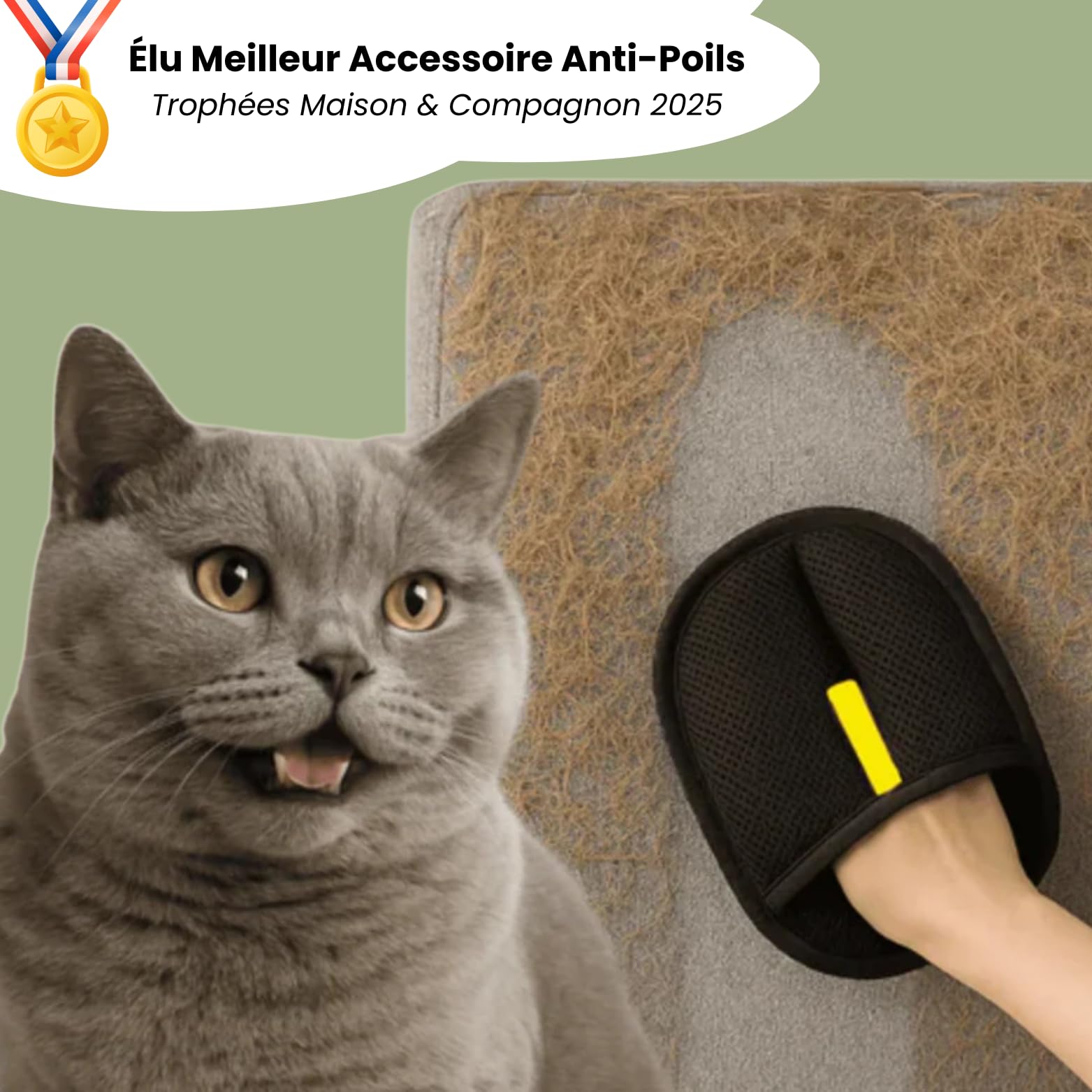 MEIION Le Comptoir Animalier FurFree – Gant Anti-Poils Réutilisable & Écologique Gants d'épilation réversibles pour animaux - Nettoyage facile des poils sur chiens, chats, canapés et vêtements