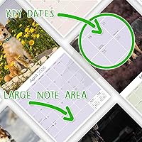 Vista 393 de Razas de Perros 2017