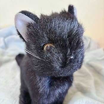 Amazon.co.jp: DOUSIN童心 猫 ぬいぐるみ リアル黒猫 : おもちゃ