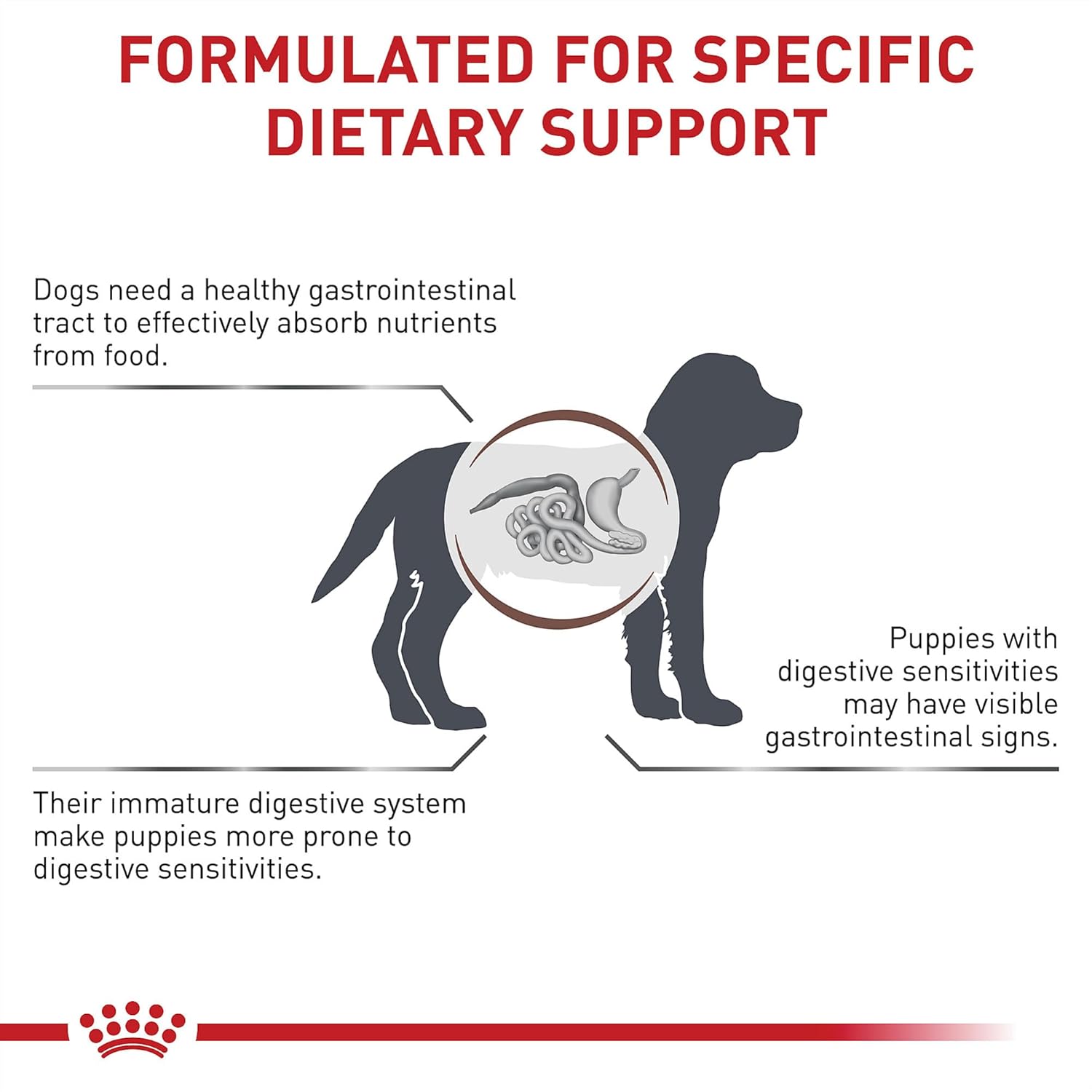 Royal Canin Veterinary Diet Canine Gastrointestinal Puppy Dry Dog Food, 22 lb Bag