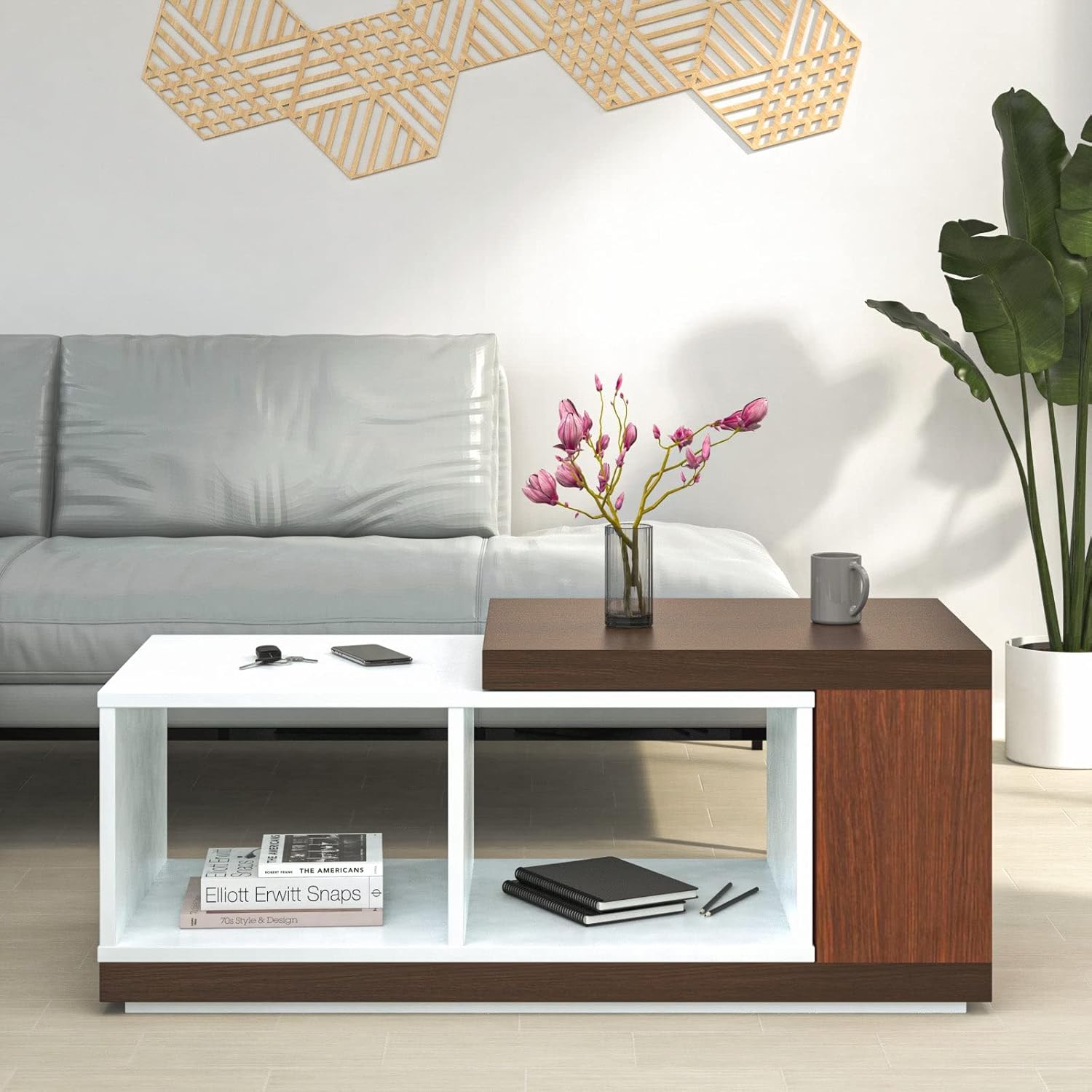 Nilkamal Engineered Wood Coffee Table | Center Table with Storage (Mono ...