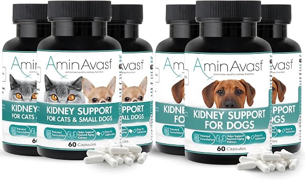 AminAvast Kidney Support Supplement 3-Pack for Cats, Small Dogs 300mg and Dogs 1000mg - Promotes Natural Kidney Function and Vitality - 60 Sprinkle Capsules