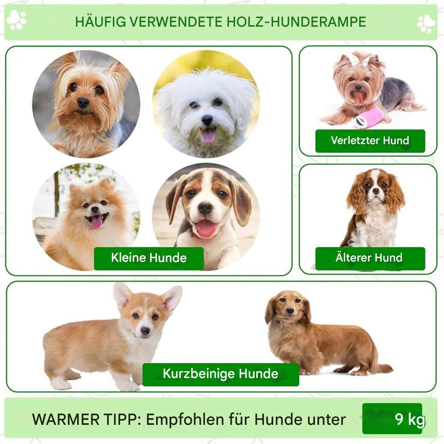 Pet Ramp,Leichte Steighilfe Für Hunde Ins Bett - Hilfe für verletzte und ältere Haustiere und Katzen mit rutschfesten Stufen für hohe Plätze im Haus für Bett, Sofa