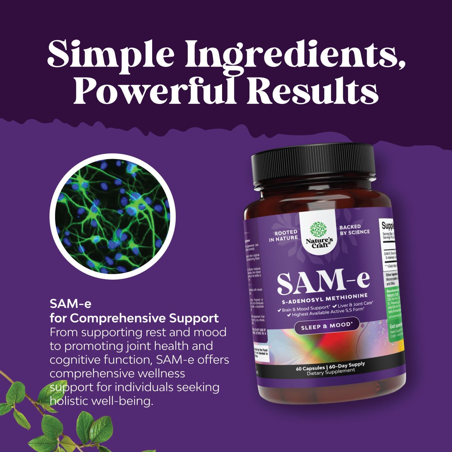 Bundle of Nootropic Brain Supplement - Mental Health & Clarity with VIT A B6 Riboflavin Niacin Thiamin Folate and Sam-E 200mg Mood Support Supplement - S-Adenosyl Methionine for Natural Relaxing Mood