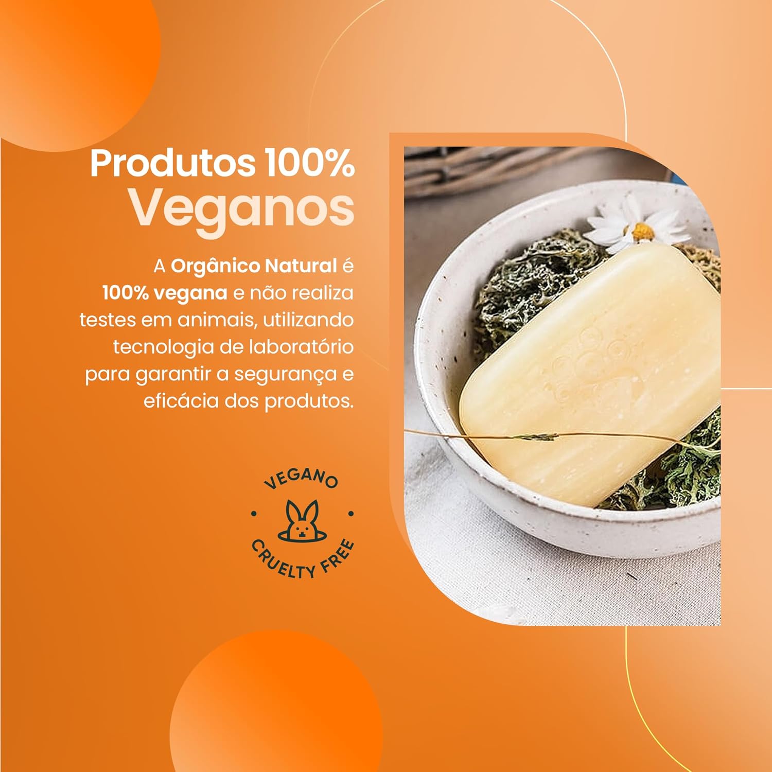 NATURAL Sabonete com Extrato de Cúrcuma – Nutritivo e Hidratante – Revitalização Purificante – Todos os Tipos de Pele – Vegano – 80g em promoção! Veja a oferta e mais achadinhos de Natural, Vegano & Clean Beauty 5 Hoje é o melhor dia para comprar NATURAL Sabonete com Extrato de Cúrcuma – Nutritivo e Hidratante – Revitalização Purificante – Todos os Tipos de Pele – Vegano – 80g com aquele preço maroto! Promoção! Aproveite a oferta! 5