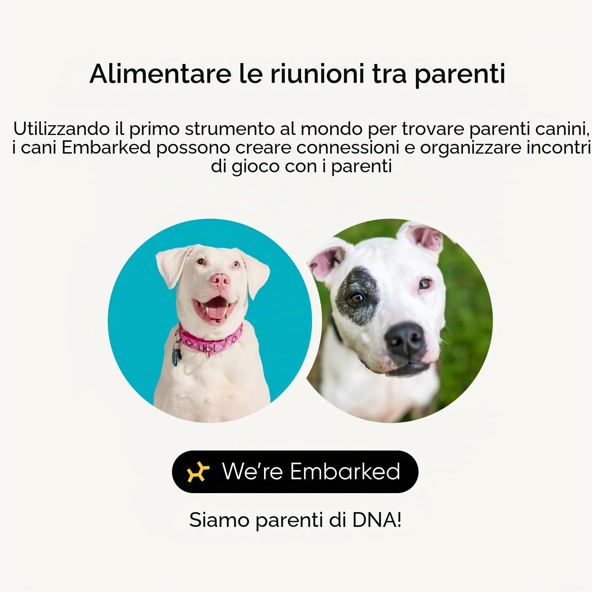 Embark - Test del DNA per cane, kit di identificazione della razza