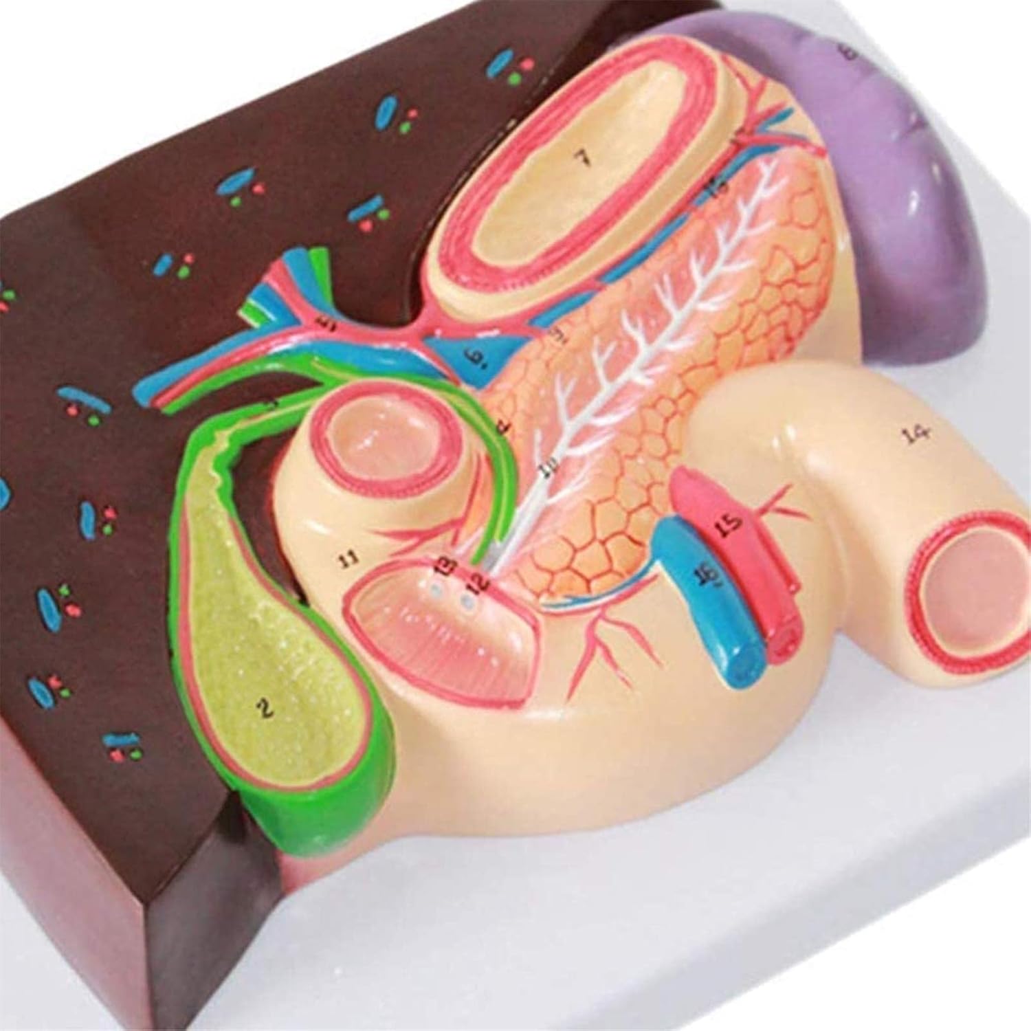 伊達さゆり ブロマイド 44枚まとめ売り 商品詳細ページ | Artist Goods