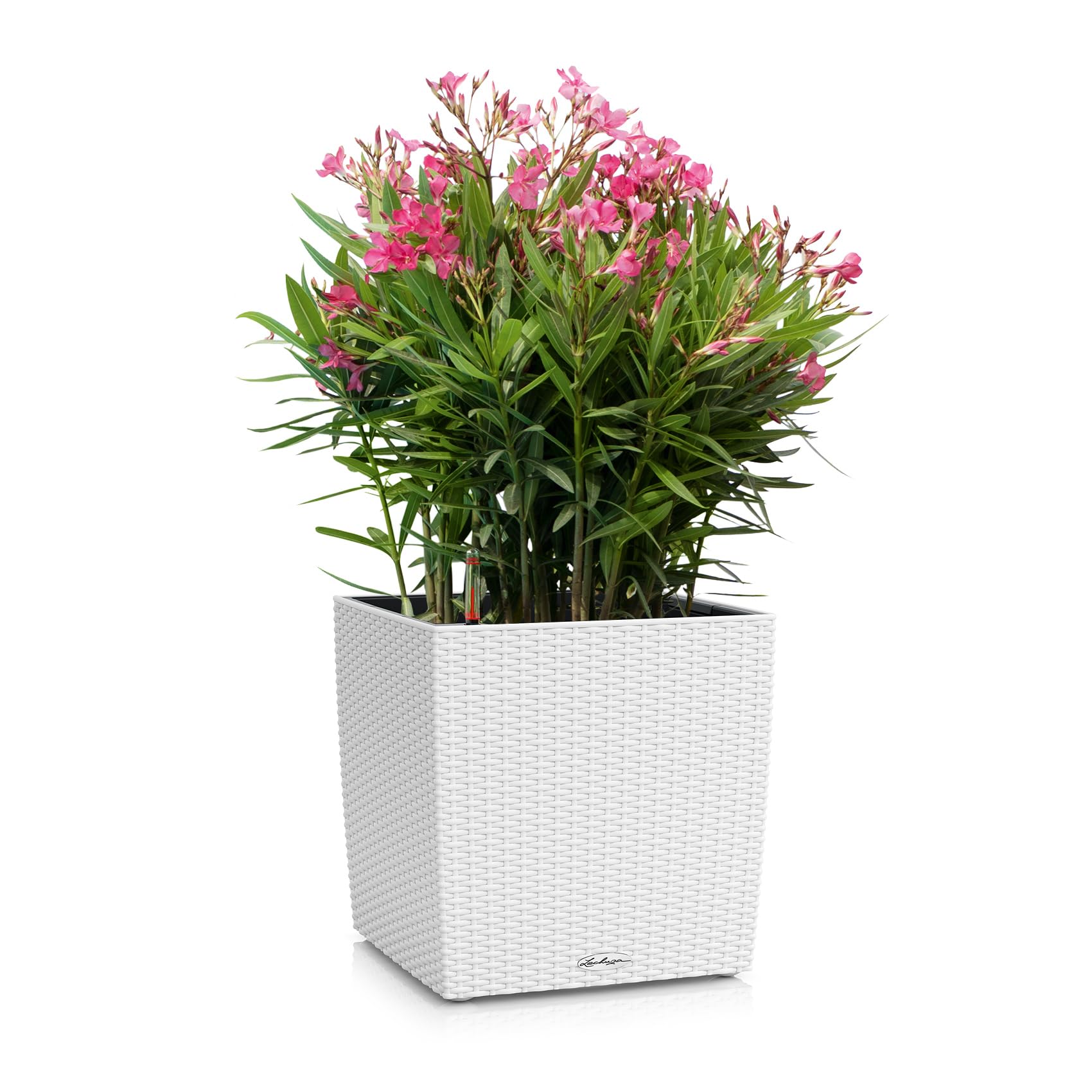 LECHUZA CUBE Cottage 30 bianco 15376