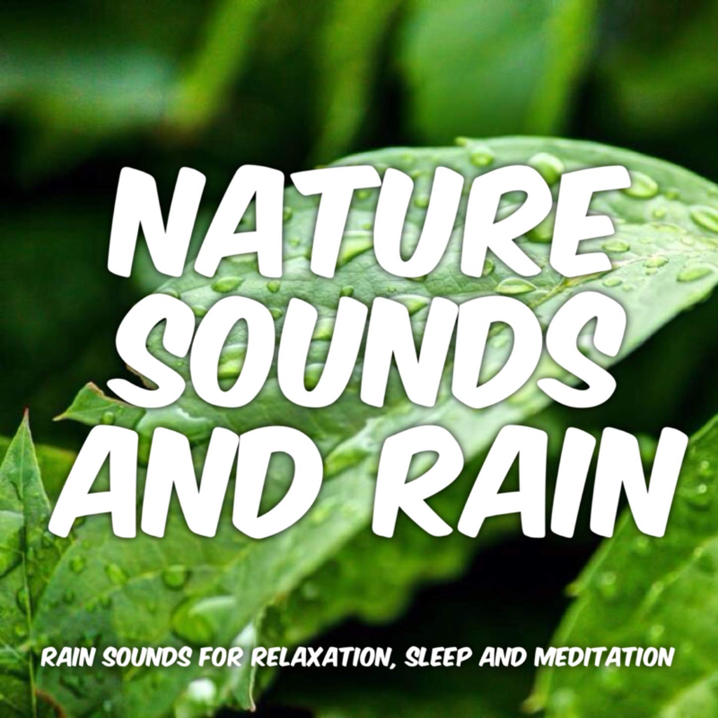 Nature Sounds and Rain
