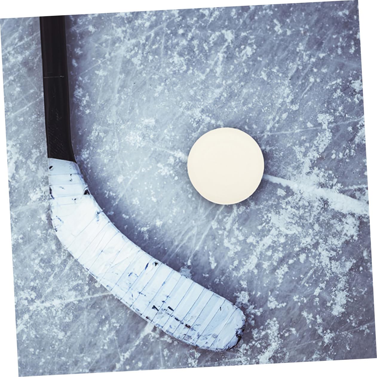 ifundom Eishockey-trainingszubehör Ausbildung Hockey-übungszubehör Hockeytraining Praktisches Eishockey Hockeyzubehör Hockeyball Aus Kunststoff Eishockey-Ball PVC