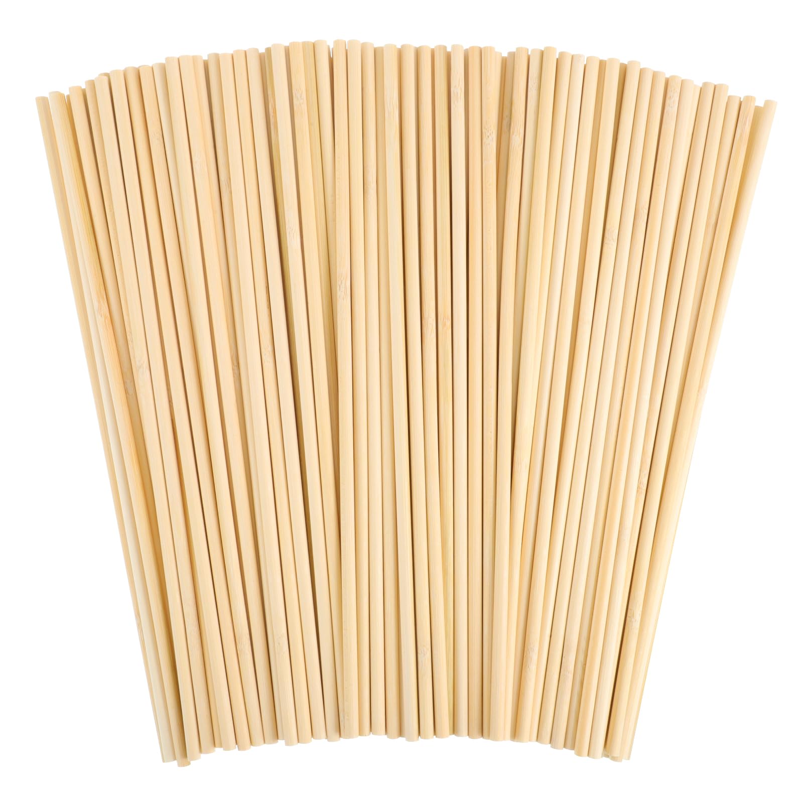 WSICSE 1/4"x12" 150pk
