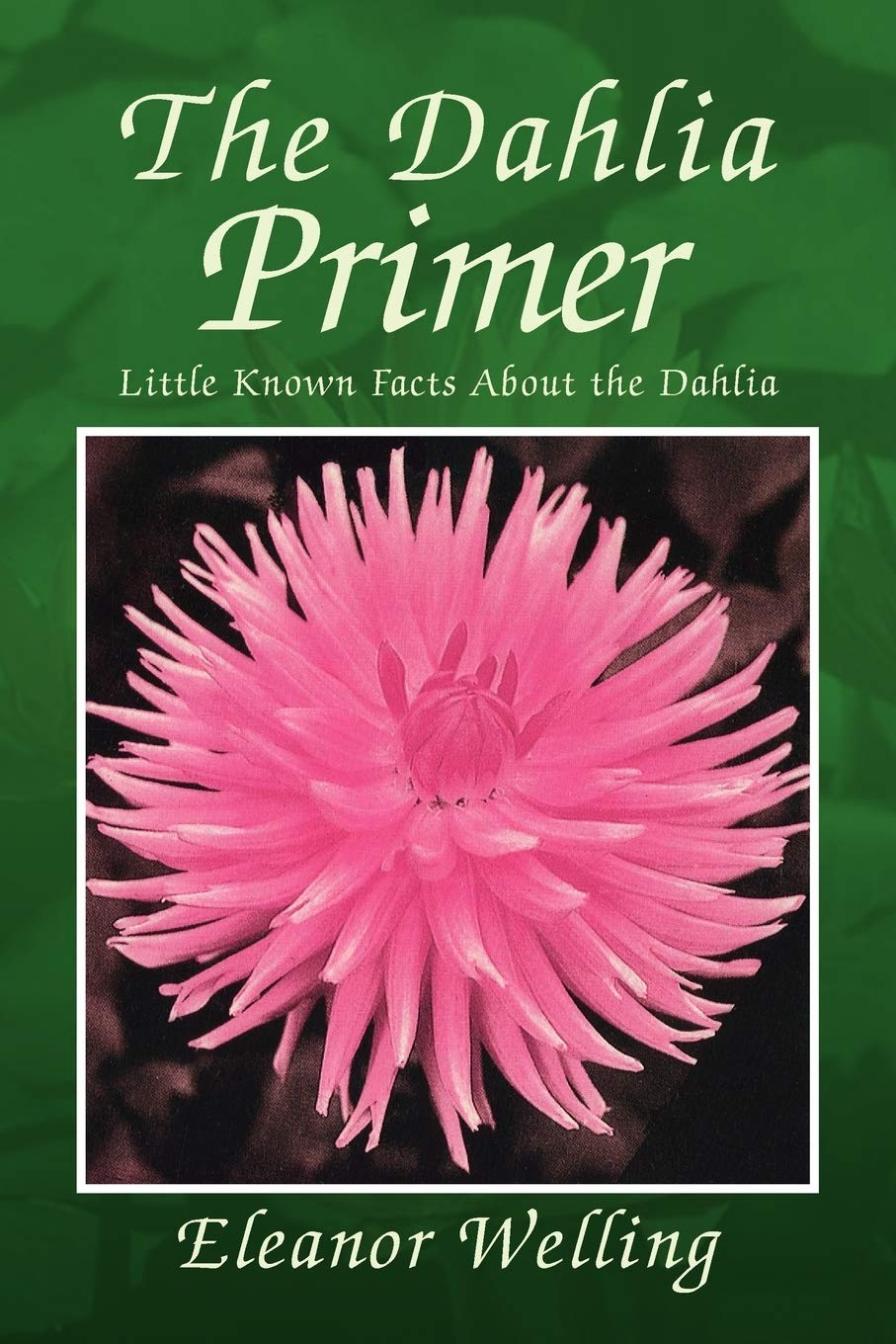 The Dahlia Primer: Little Known Facts About the Dahlia