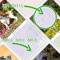 Vista 1303 de Razas de Perros 2017