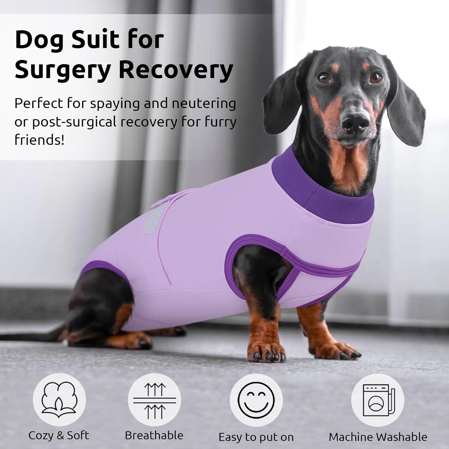 Queenmore Dog Surgical Recovery Suit Onesie, Recovery Suit for Dogs Cats After Surgery, Anti Licking Pet Female Post-Operative Spayed Neutered Shirt, Substitute E-Collar & Cone, Purple,3XL