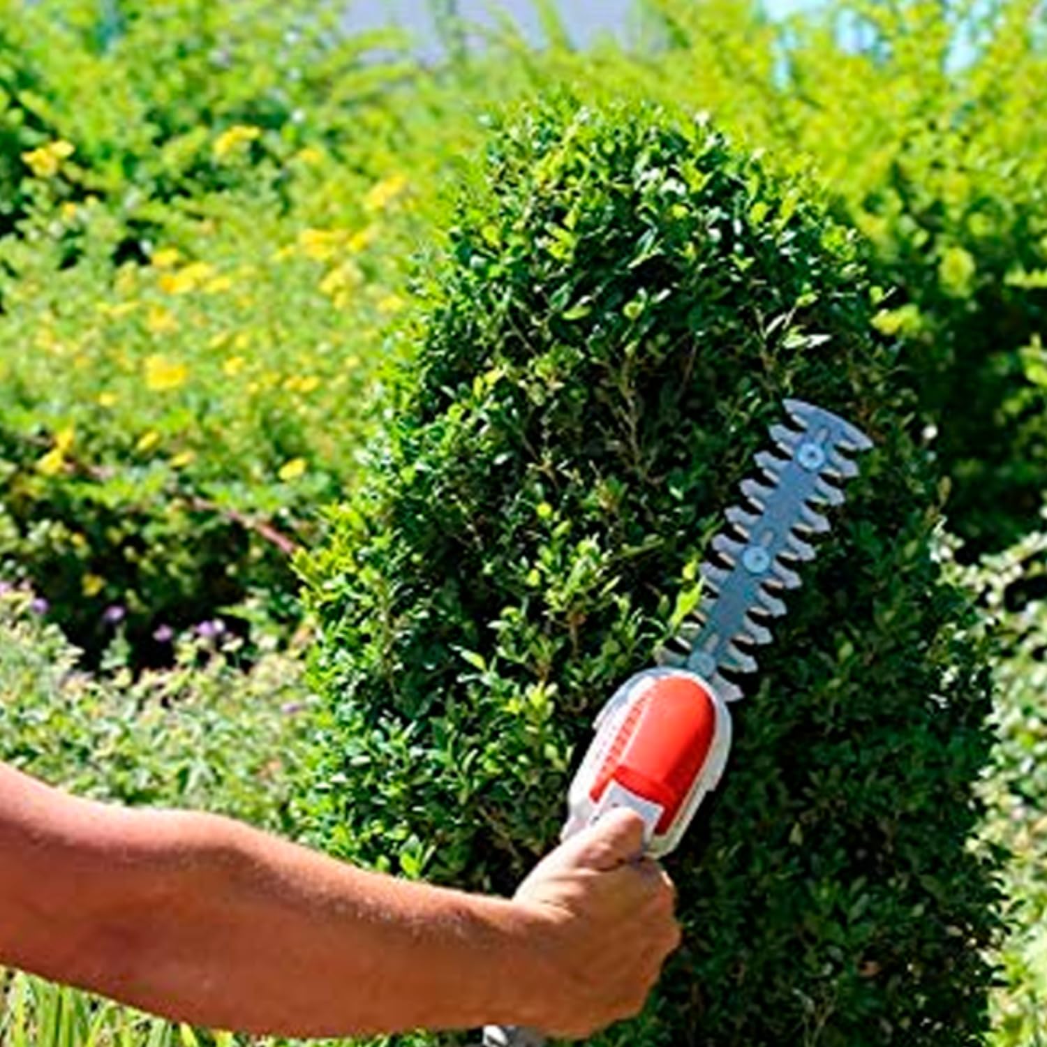 ANOVA - Cortasetos | 7.2 V - 2 AH | 680 G | Cabezal Setos 160 MM / 78 MM | Cabezal Tijera 75 MM | para Poda y Mantenimiento de Setos, Arbustos y Vegetación de Jardín | Diseño Robusto