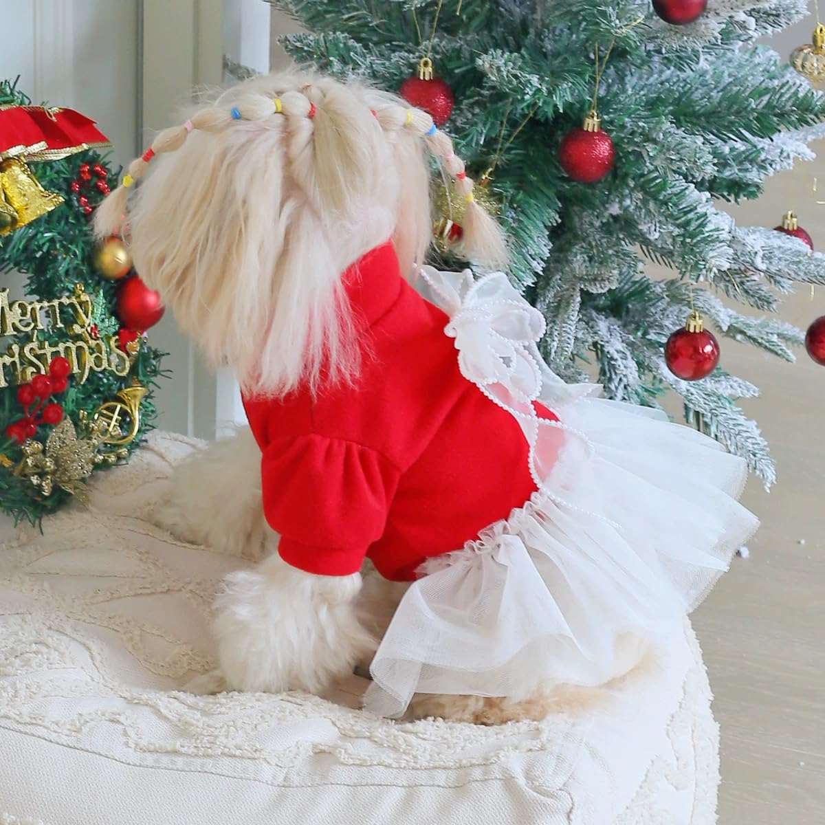 Robe de Noël pour Animal de Compagnie, Motif Tulle Rouge et Blanc avec nœud, Tenue de Vacances pour Petits Chiens et Chats (Rouge, XL(5-7.3kg))