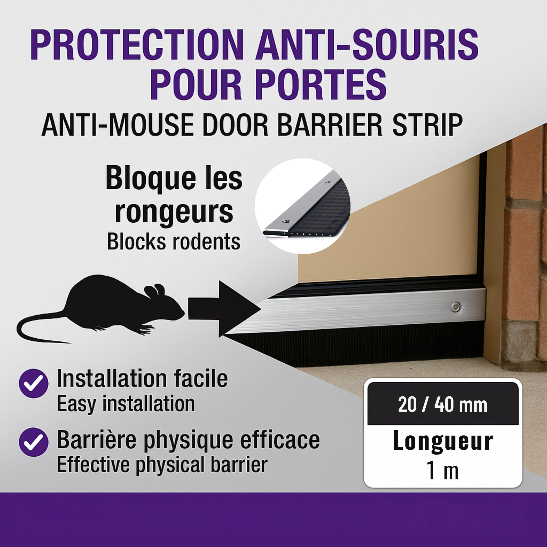 Ready-to-Use Bas de Porte Anti Rongeurs 1m – Aluminium + Joint Silicone 20mm – Protection Anti Souris et Rats – Plinthe Isolante Bas de Porte – Anti Froid, Vent et Insectes – Prêt à Poser
