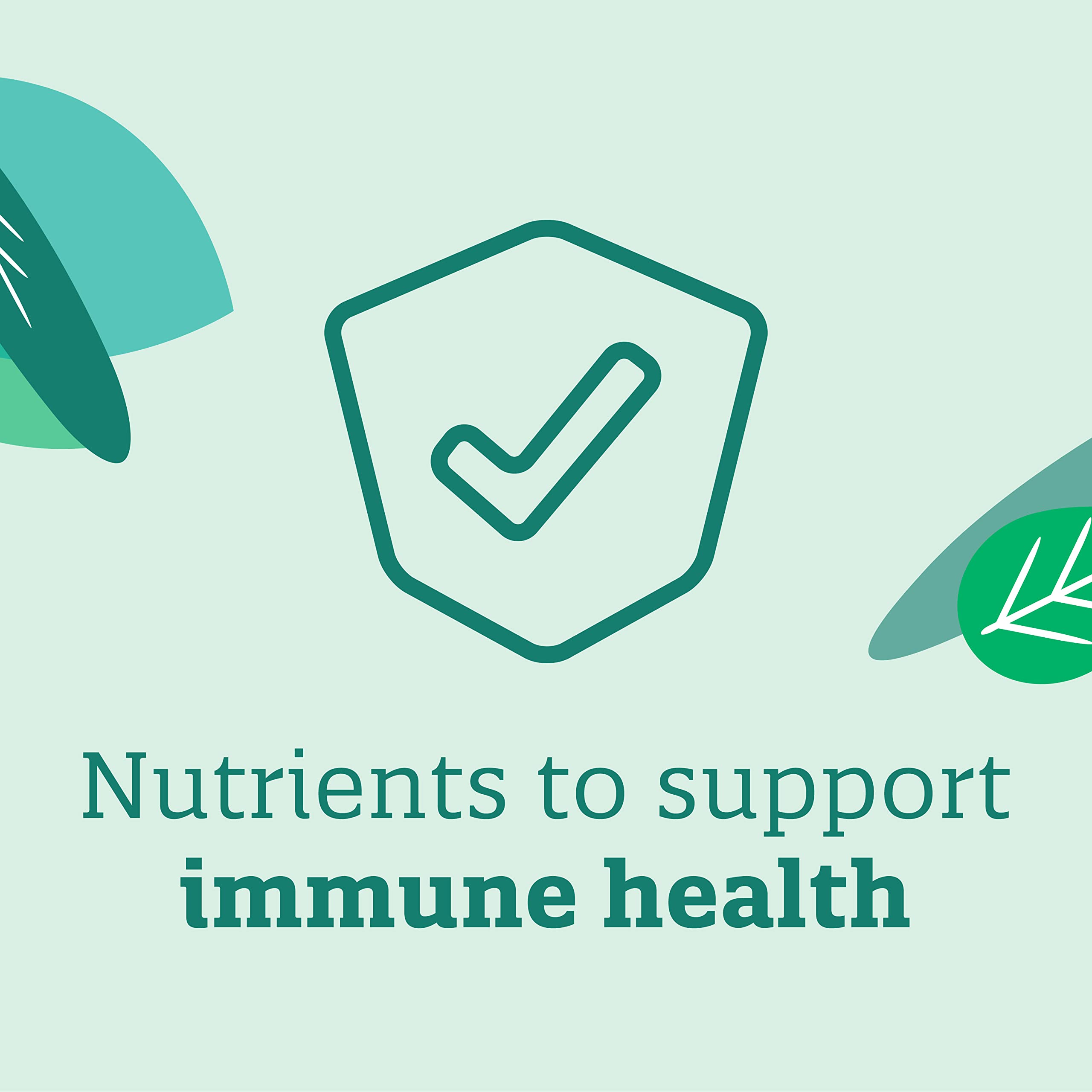 Plant based Baby Formula, 12.9 Oz Powder Can, Enfamil ProSobee for