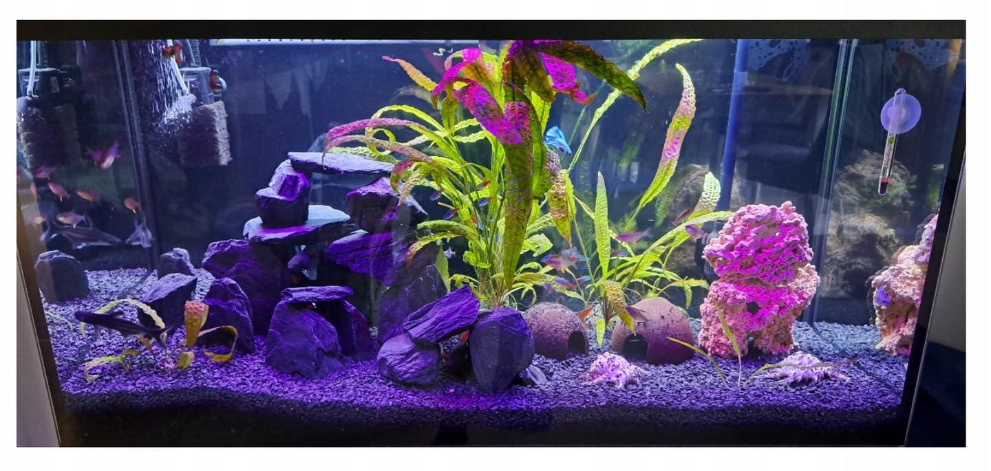 Schiefer Aquarium Steine Schwarz 24 kg Aquascaping Deko Holzoptik