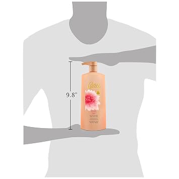 Caress Body Wash, Daily Silk White Peach and Silky Orange Blossom, 25.4 Ounce