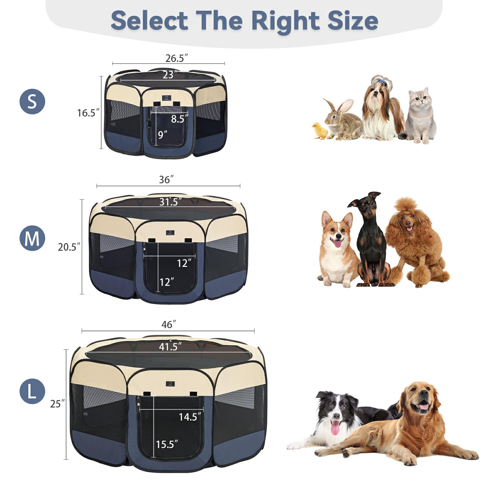 https://m.media-amazon.com/images/I/71w0VuG29kL.jpg