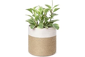 Dahey Woven Plant Basket – Stylish Storage for Your Plant Buddies