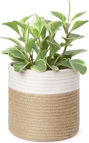Miniatura 1 de Dahey Cesta pequeña de cuerda de algodón para plantas, cesta tejida en espiral para macetas de hasta 7 pulgadas, 7.5 x 8 pulgadas, cubierta