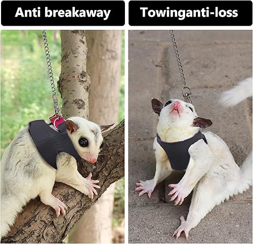 Miniatura 2 de La La Pet Juego de arnés y correa retráctil ajustable para animales pequeños, hámster, actividades al aire libre, cadena de metal, rojo, S