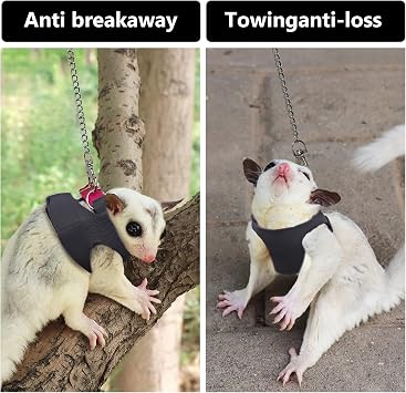 La La Pet Adjustable Retractable Sugar Glider Harness and Leash Set for Small Animals - Hamster, Outdoor Activities - Metal Chain, Red, S