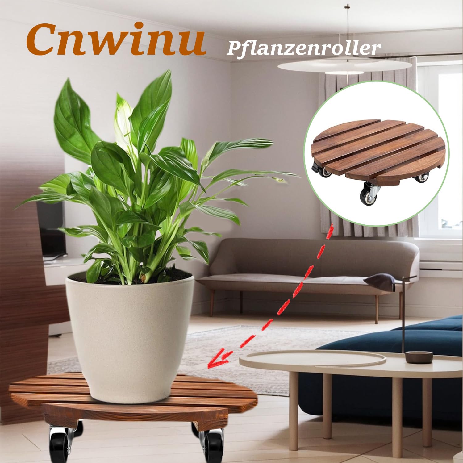 Suusolny Set van 2 WPC plantenrollers, vierkant, 30 cm, bloemenroller met 360° wielen en rem, weerbestendig voor binnen en buiten, weerbestendig, draagvermogen tot 100 kg, antraciet Suusolny Set van 2 WPC plantenrollers, vierkant, 30 cm, bloemenroller met 360° wielen en rem, weerbestendig voor binnen en buiten, weerbestendig, draagvermogen tot 100 kg, antraciet