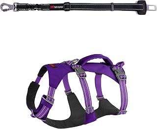 Tuff Pupper Escape Proof Dog Harness & Seat Belt Bundle | Adjustable No-Pull Harness with Lift Handle & Reflective Trim | Shock-Absorbing Dog Seatbelt with Locking Carabiner for Car Safety