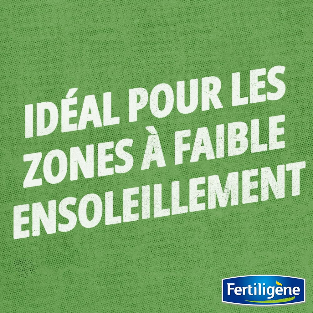 FERTILIGENE OMBR25 - Semences Gazon Terrain Ombragé 875 g - Pour 200m² - Premières pousses en 1 semaine