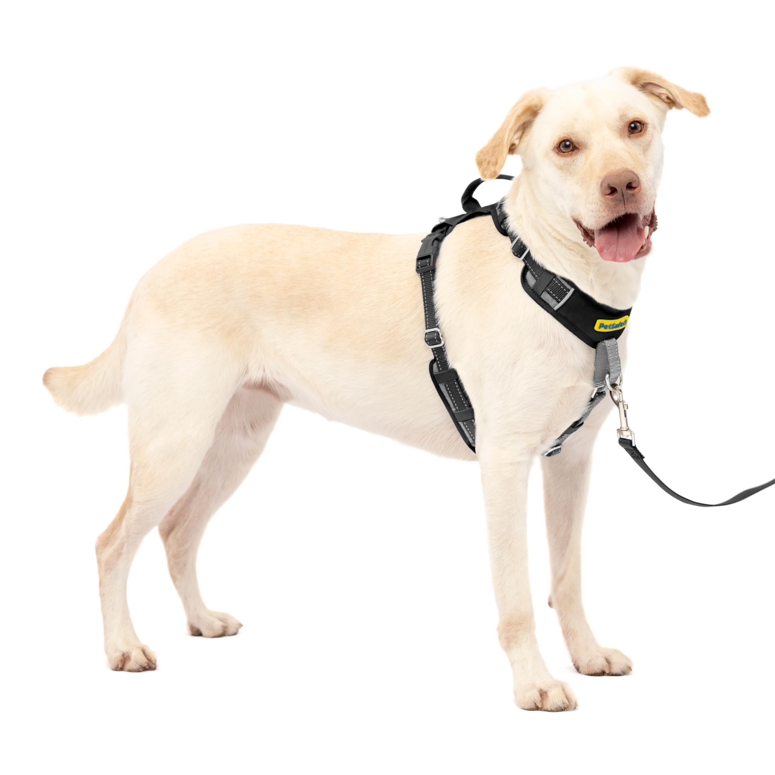 PetSafe Easy Walk Comfort No Pull Dog Harness